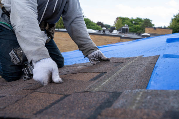 Best Gutter Installation and Roofing  in Meggett, SC